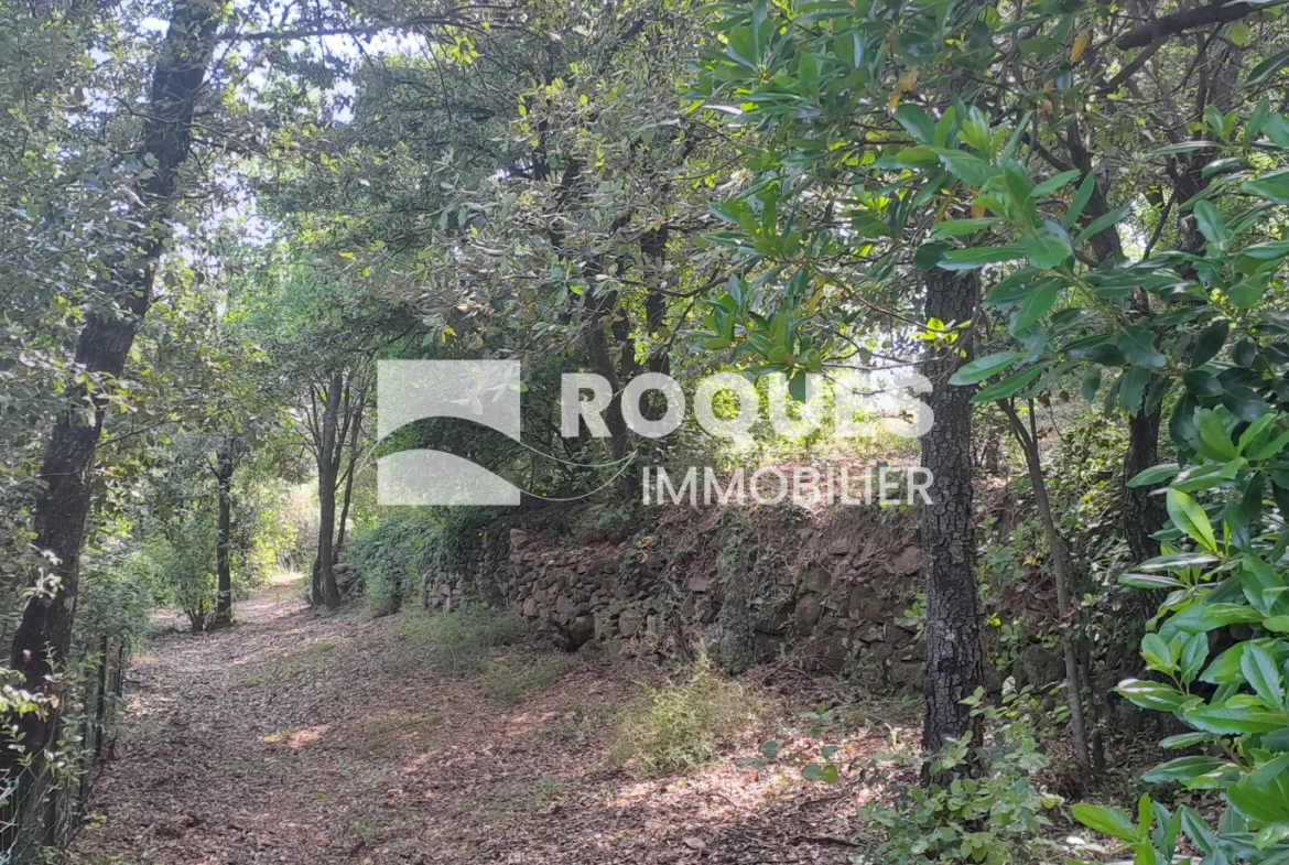 Maison type Mas de campagne à Fozieres avec vue dégagée 