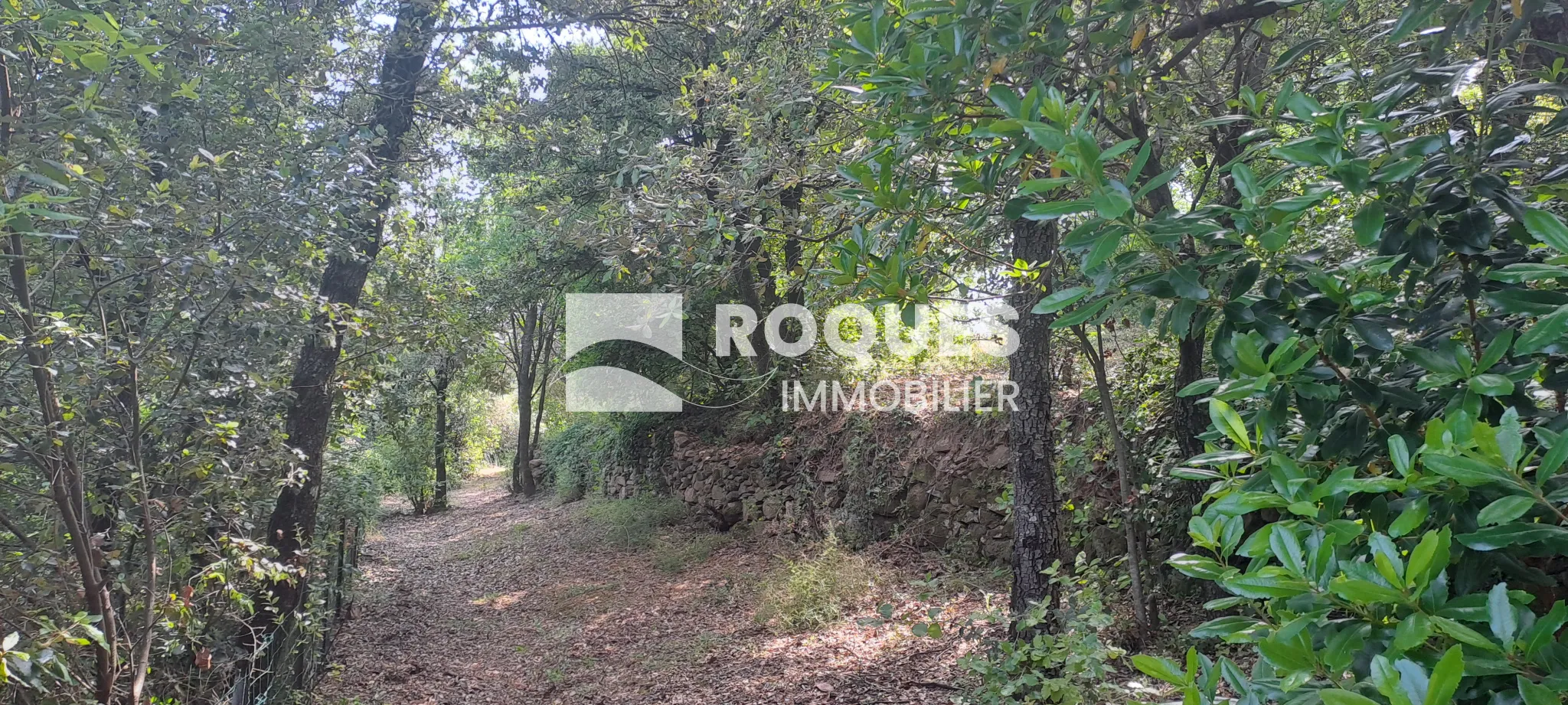 Maison type Mas de campagne à Fozieres avec vue dégagée 