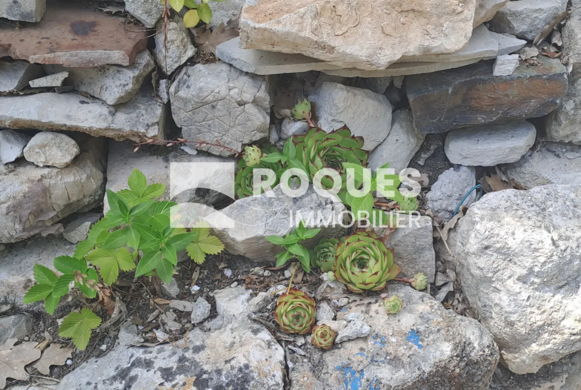 Maison type Mas de campagne à Fozieres avec vue dégagée 