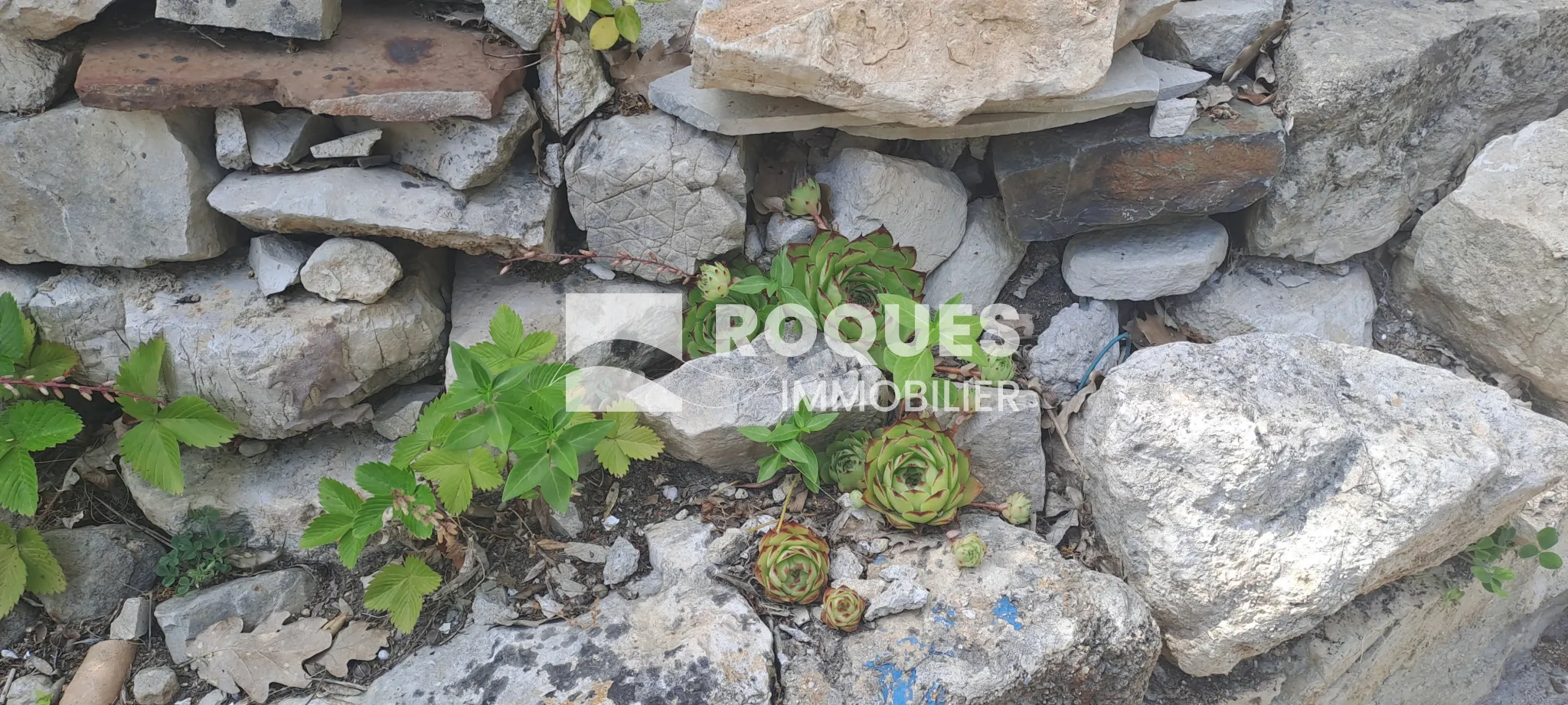 Maison type Mas de campagne à Fozieres avec vue dégagée 