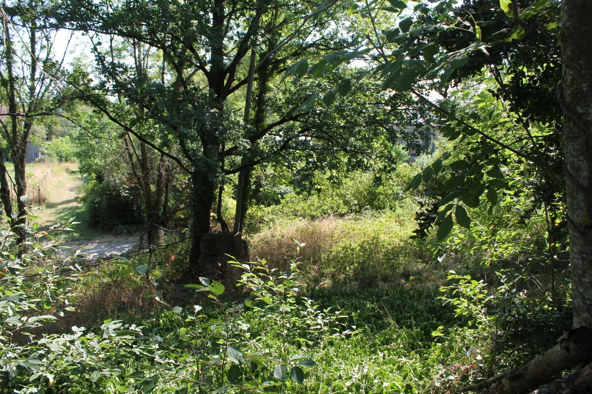 Maison de village à Saint Desiré sur terrain de 2500 m2 à rénover 