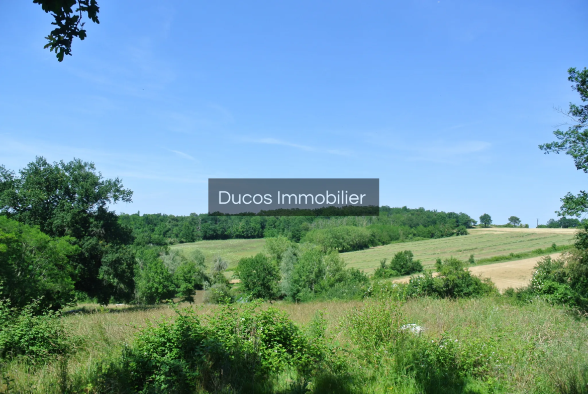 Terrain agricole avec lac à Castelnau-sur-Gupie 