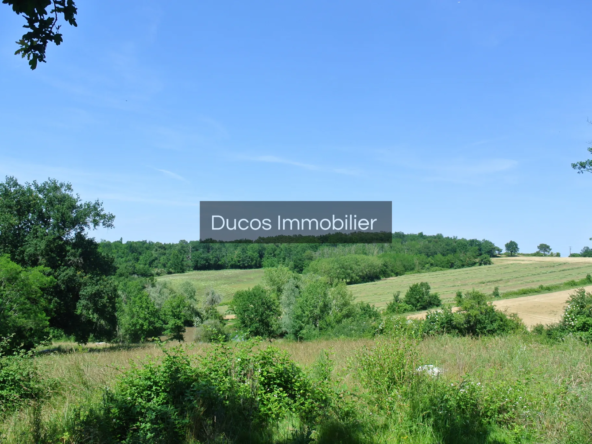 Terrain agricole avec lac à Castelnau-sur-Gupie