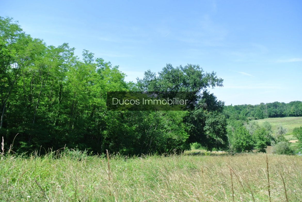 Terrain agricole avec lac à Castelnau-sur-Gupie 