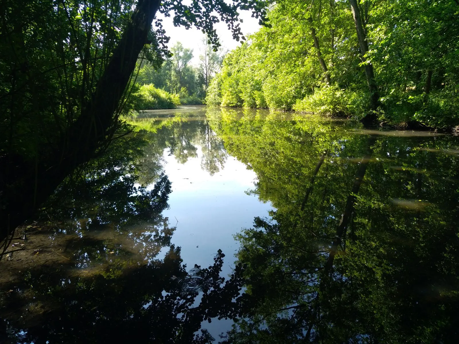 Terrain exceptionnel pour amoureux de la nature à Le Parcq 