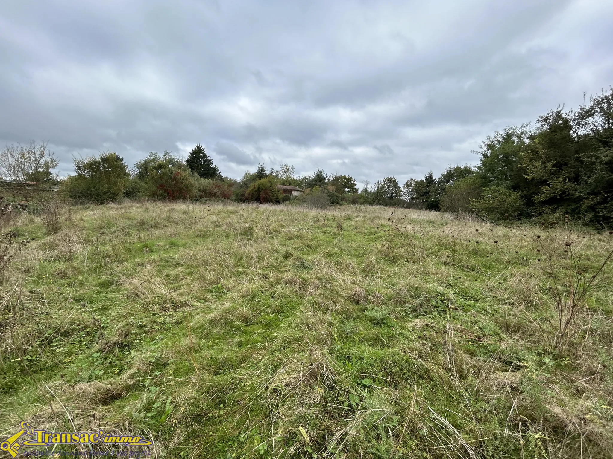 Maison 5 pièces à Paslières avec 18 000 m² de terrain à rénover 