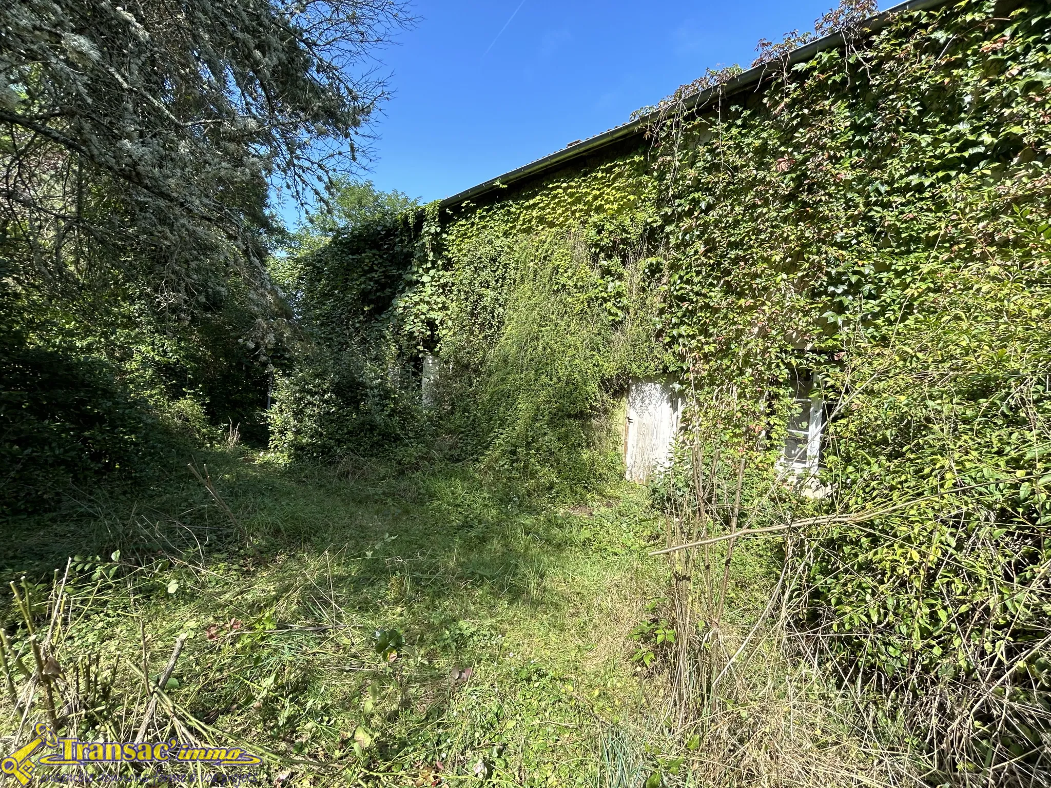 Maison 5 pièces à Paslières avec 18 000 m² de terrain à rénover 