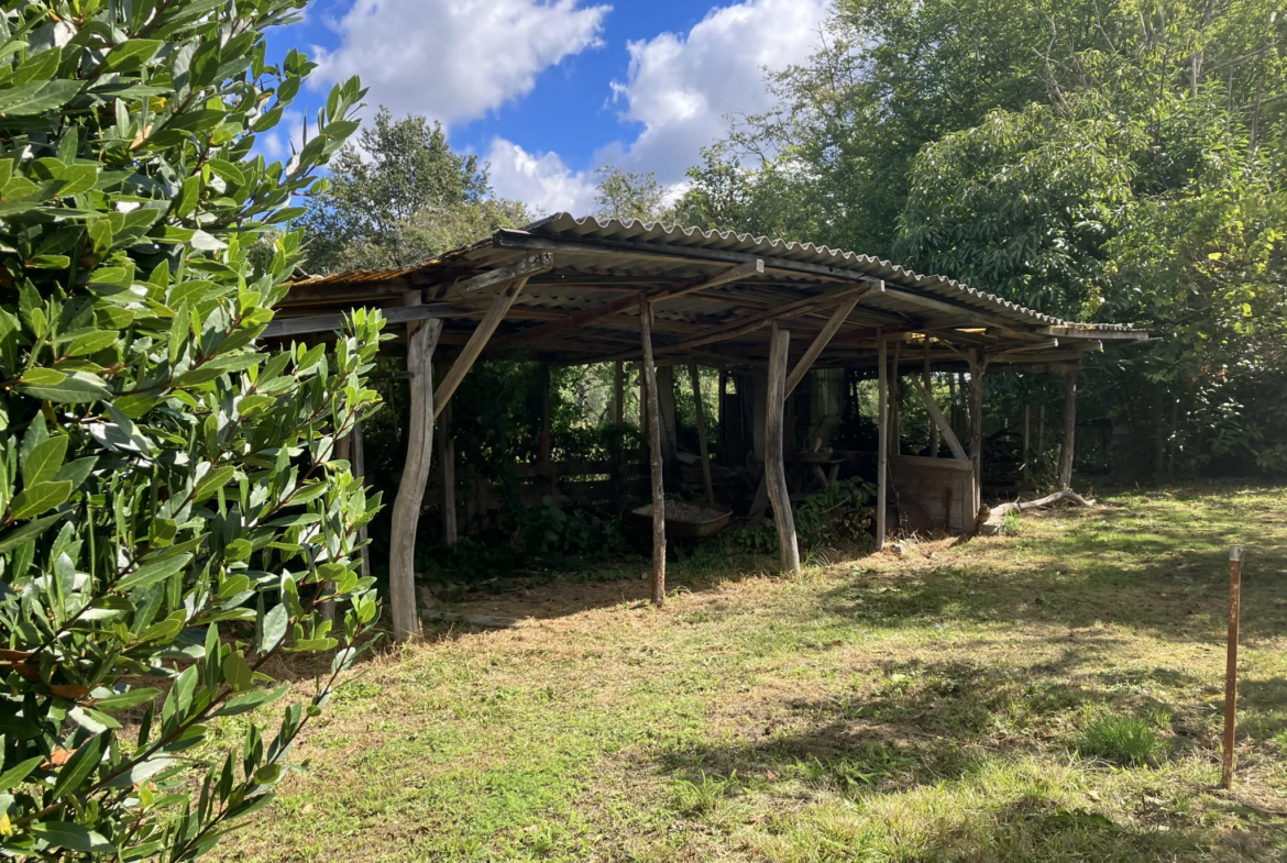 Grande maison rénovée à Trois-Vèvres avec jardin arboré 