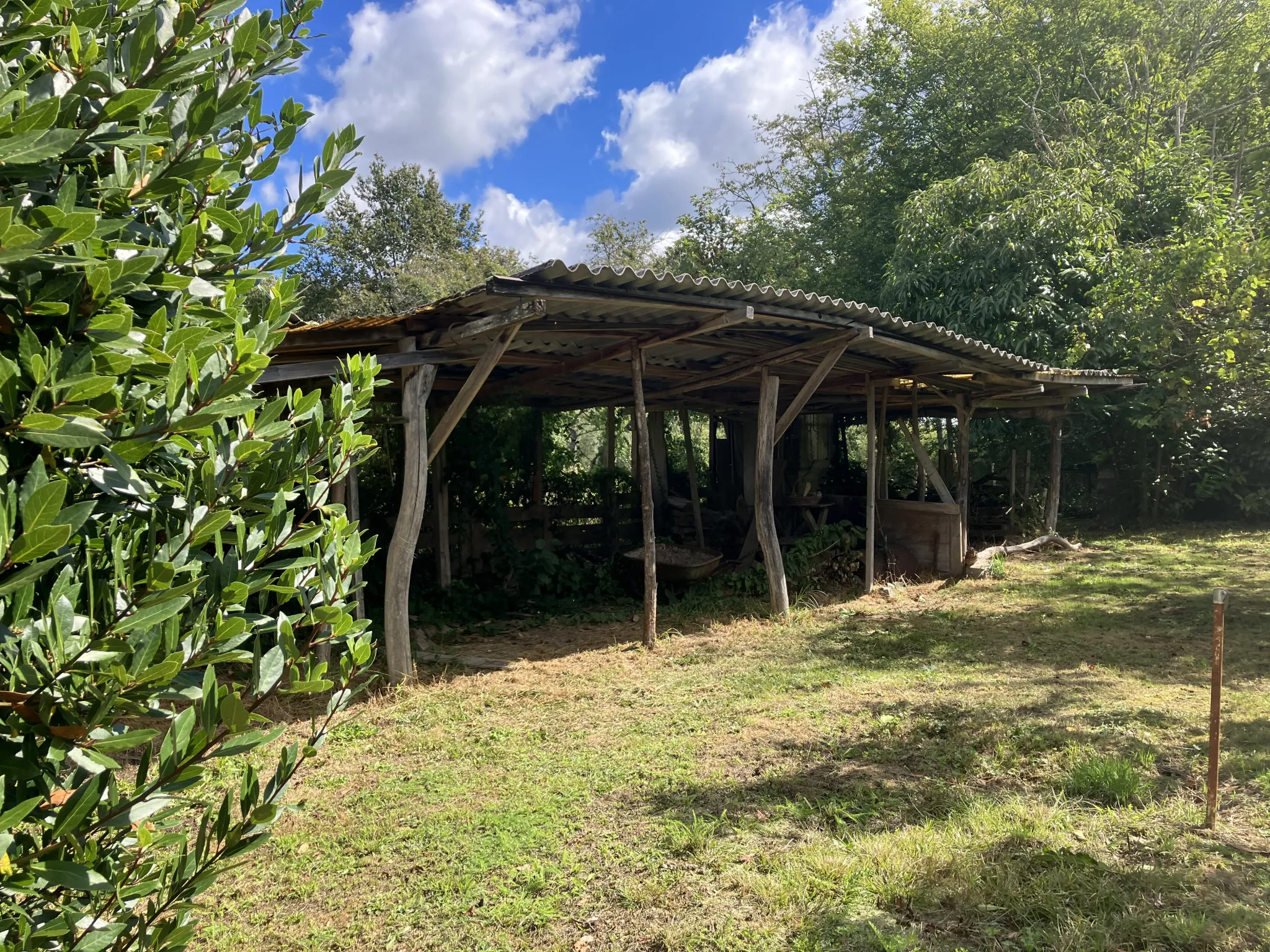 Grande maison rénovée à Trois-Vèvres avec jardin arboré 