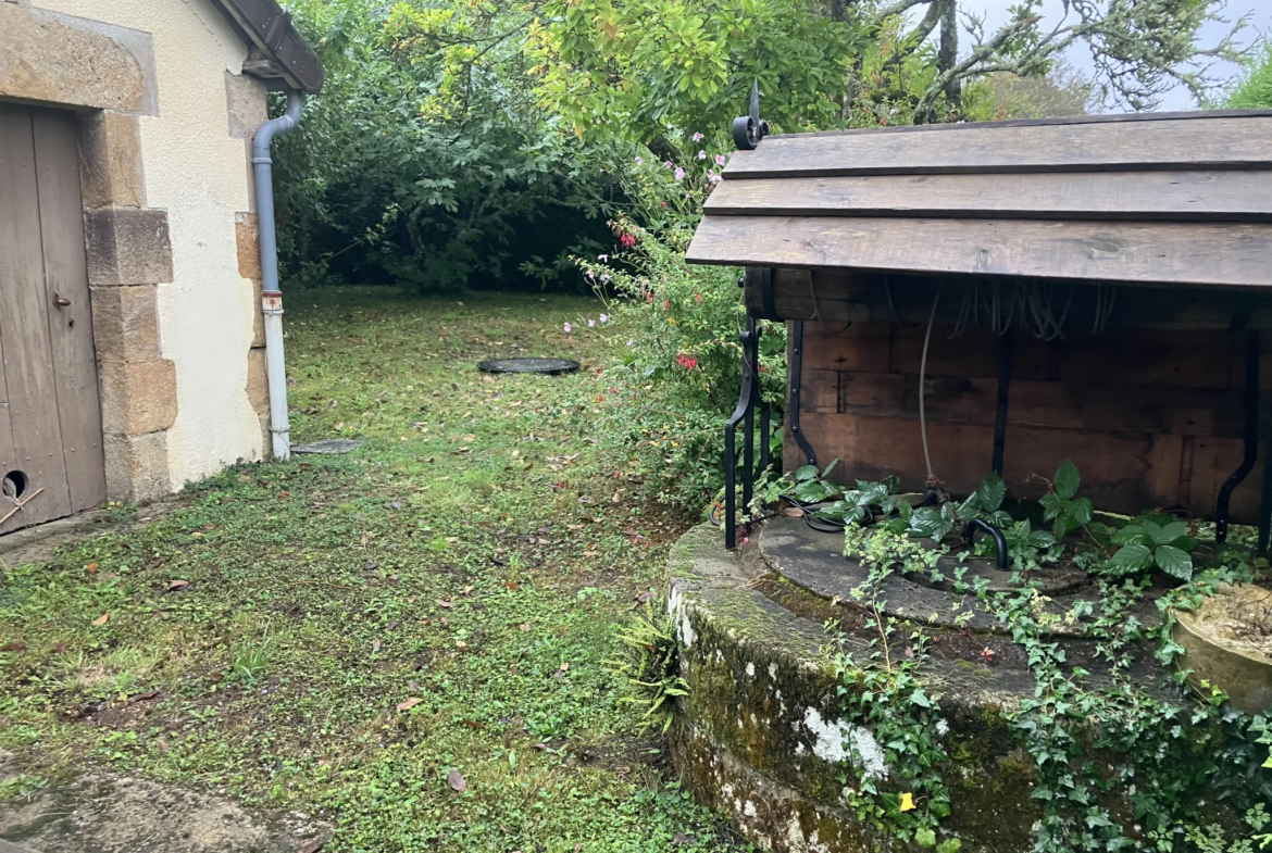 Grande maison rénovée à Trois-Vèvres avec jardin arboré 