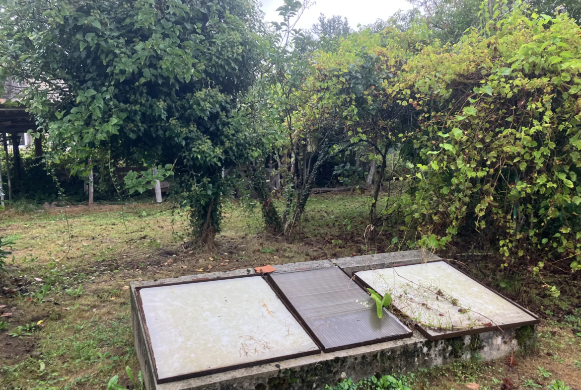 Grande maison rénovée à Trois-Vèvres avec jardin arboré 