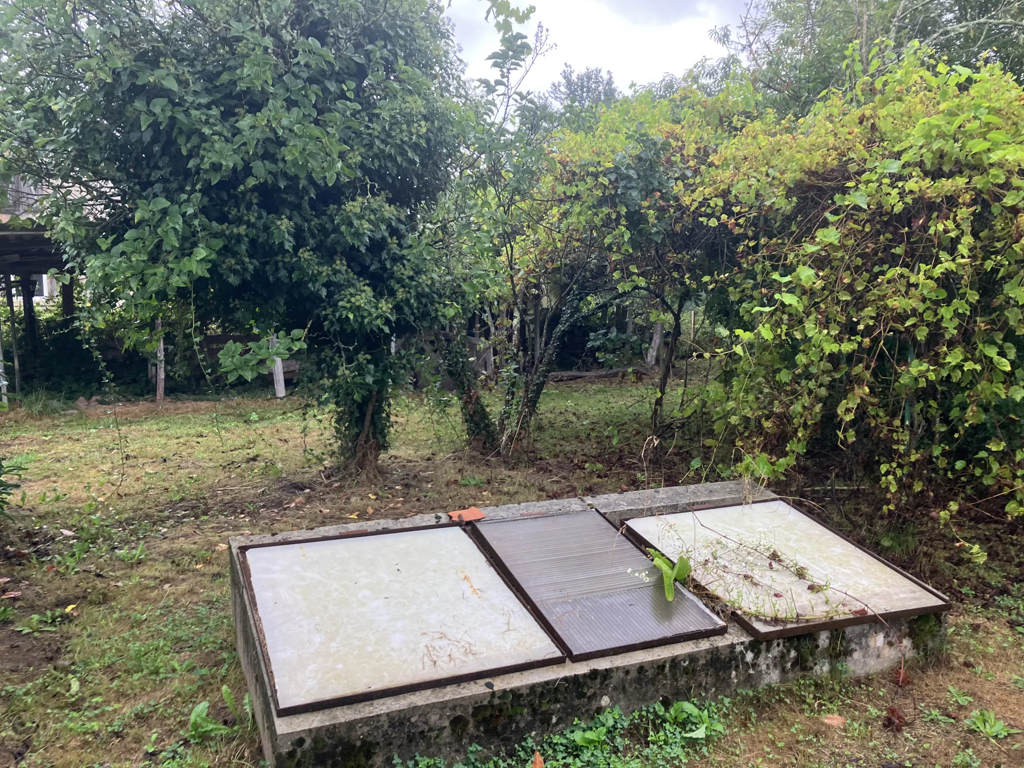 Grande maison rénovée à Trois-Vèvres avec jardin arboré 