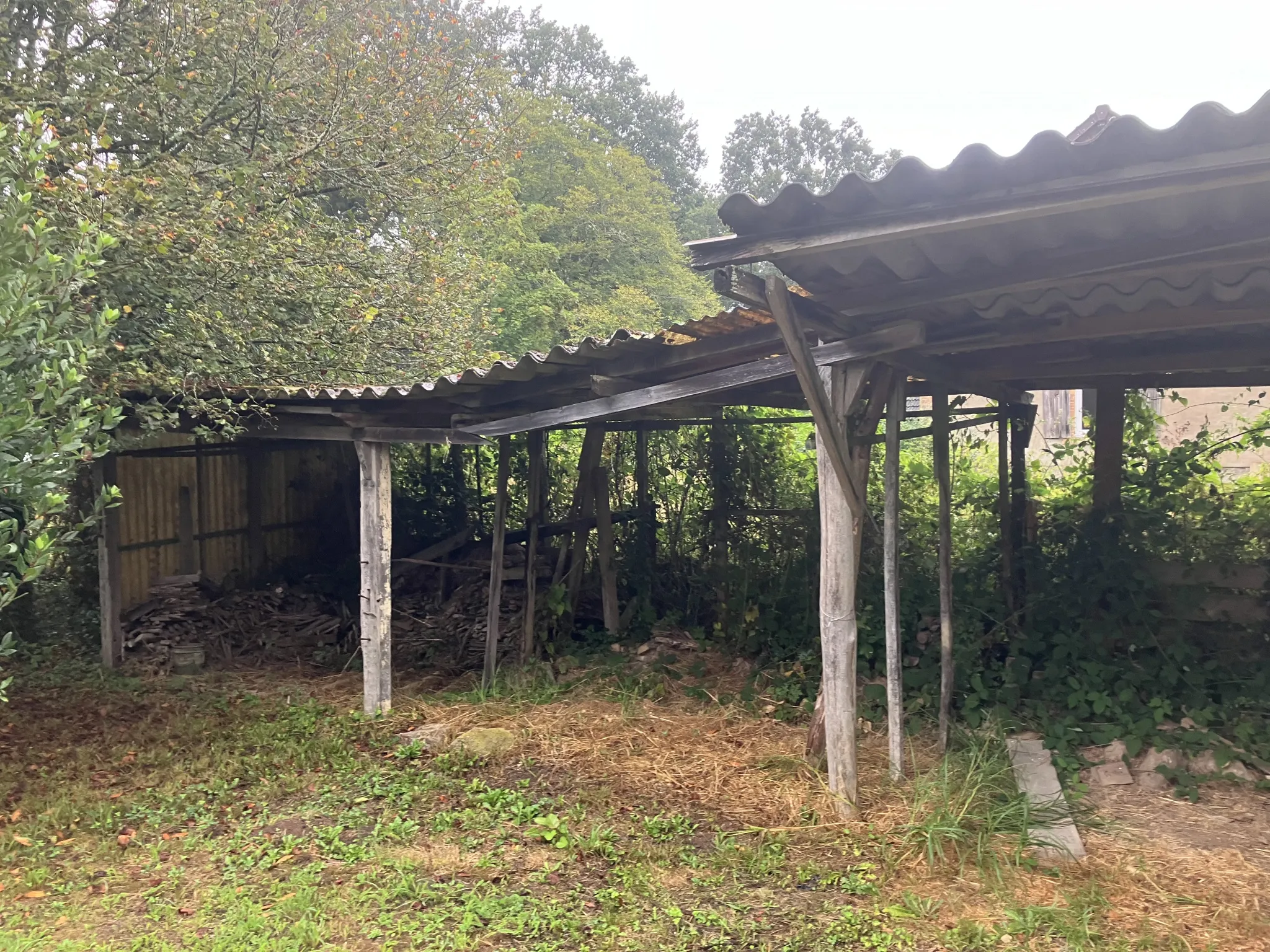 Grande maison rénovée à Trois-Vèvres avec jardin arboré 