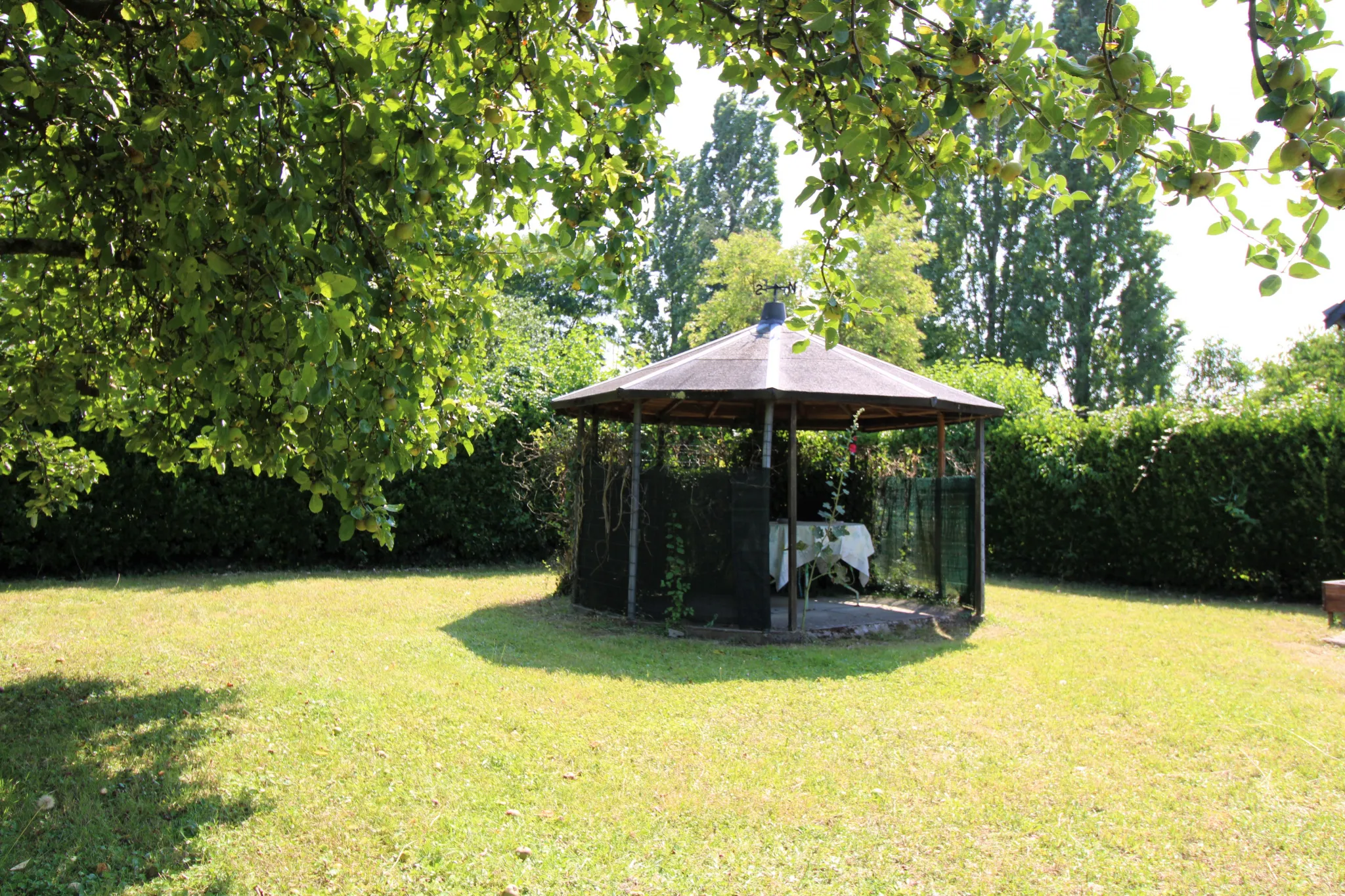 Maison à rénover à Pellouailles-les-Vignes avec terrain constructible 