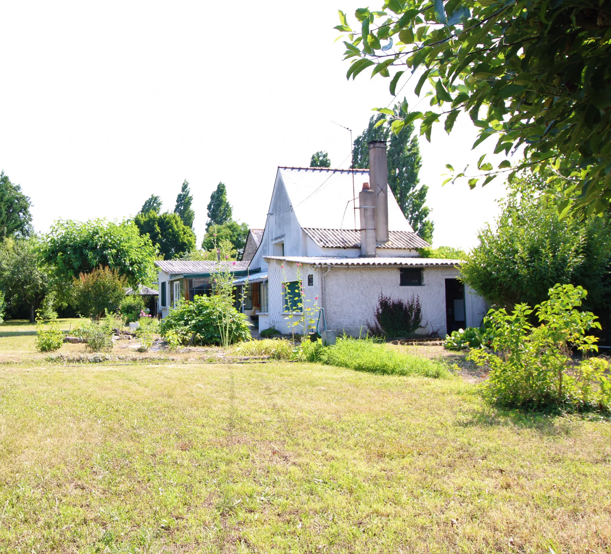 Maison à rénover à Pellouailles-les-Vignes avec terrain constructible 