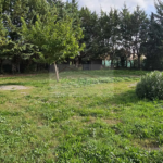 Terrain constructible de 300 m² à Boisseron en vente