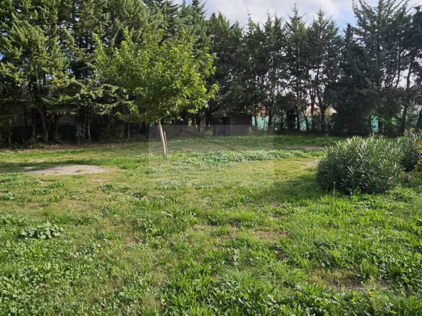 Terrain constructible de 300 m² à Boisseron en vente