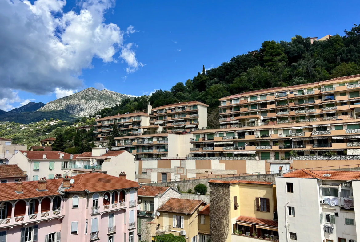 À vendre : Appartement T1 spacieux à Menton, idéal investisseur 