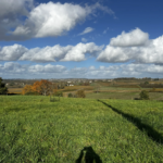 Terrain à bâtir libre de constructeur à Saint-André-du-Bois