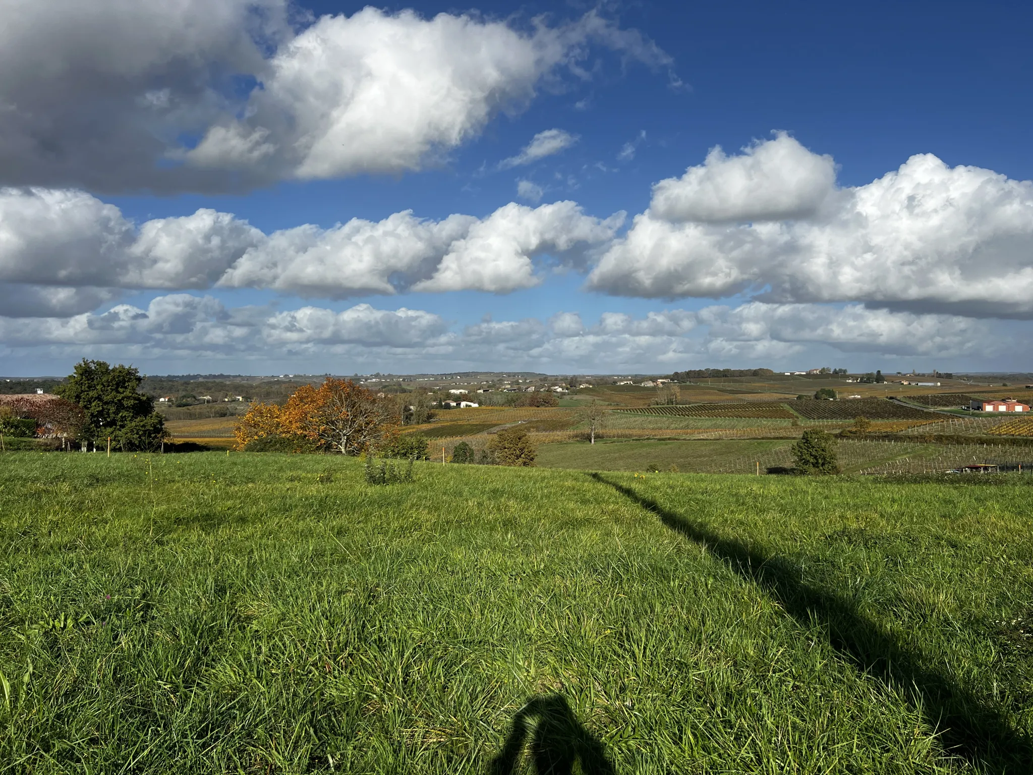 Terrain à bâtir libre de constructeur à Saint-André-du-Bois 