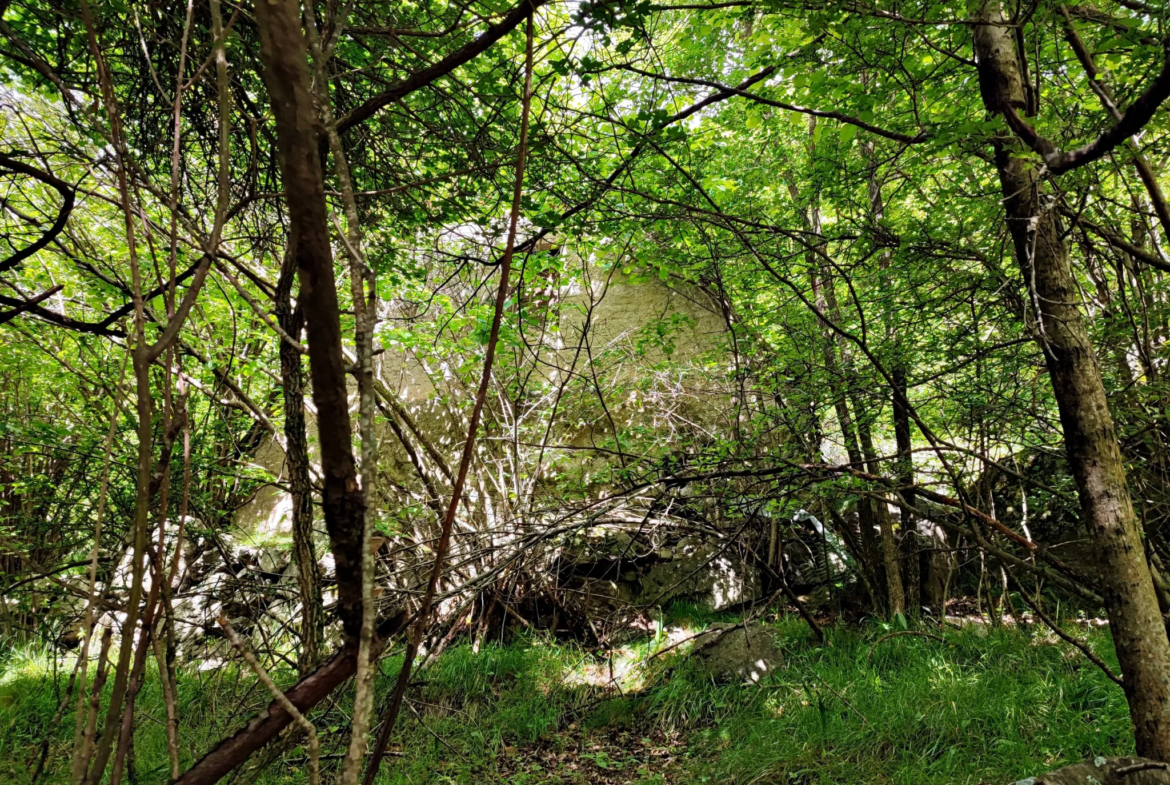 Terrain de 8 524 m² avec grange à Belvédère 