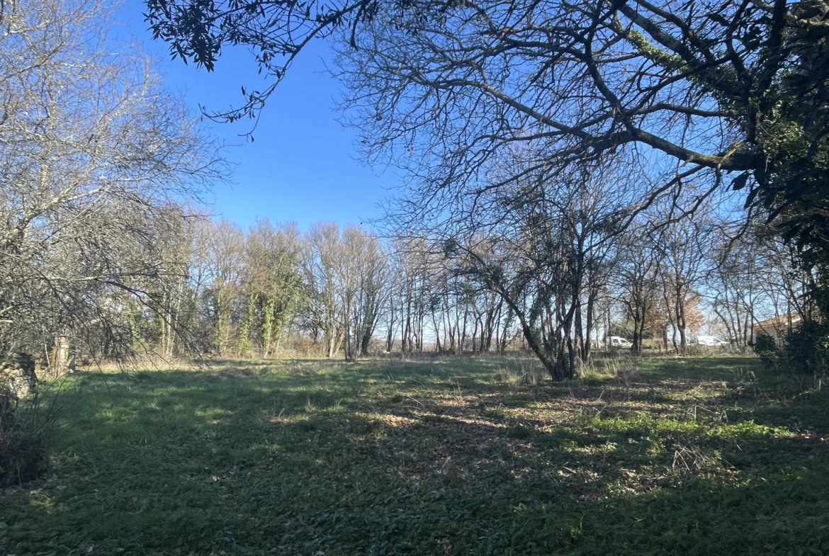 Belle maison en pierre à vendre à Martres avec dépendance et jardin 