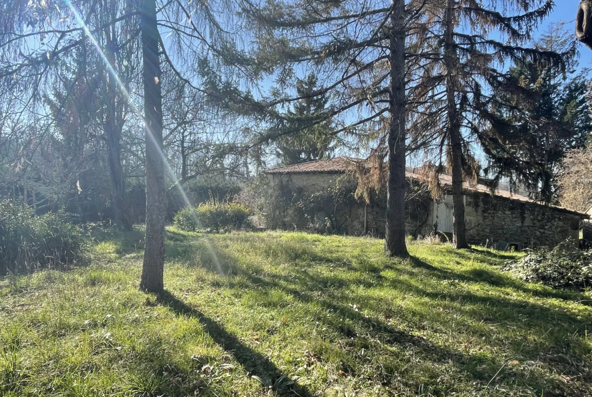 Belle maison en pierre à vendre à Martres avec dépendance et jardin 