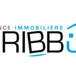 TRIBBUIMMOBILIER_1