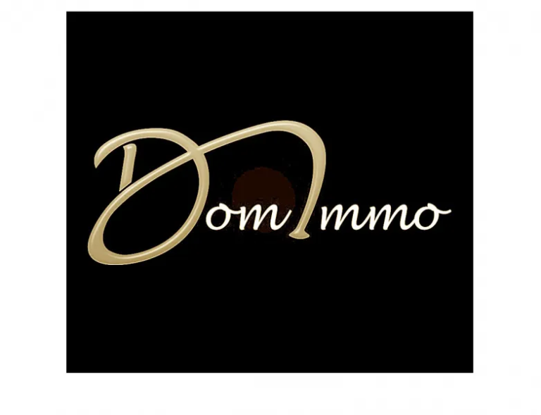 AGENCE  DOMIMMO_1