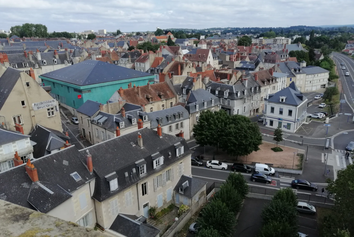 À vendre : Appartement 2 chambres avec vue sur Loire à Nevers 