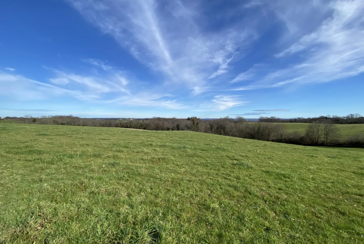 Maison Béarnaise T6 à vendre à Lagor avec vue sur les Pyrénées 