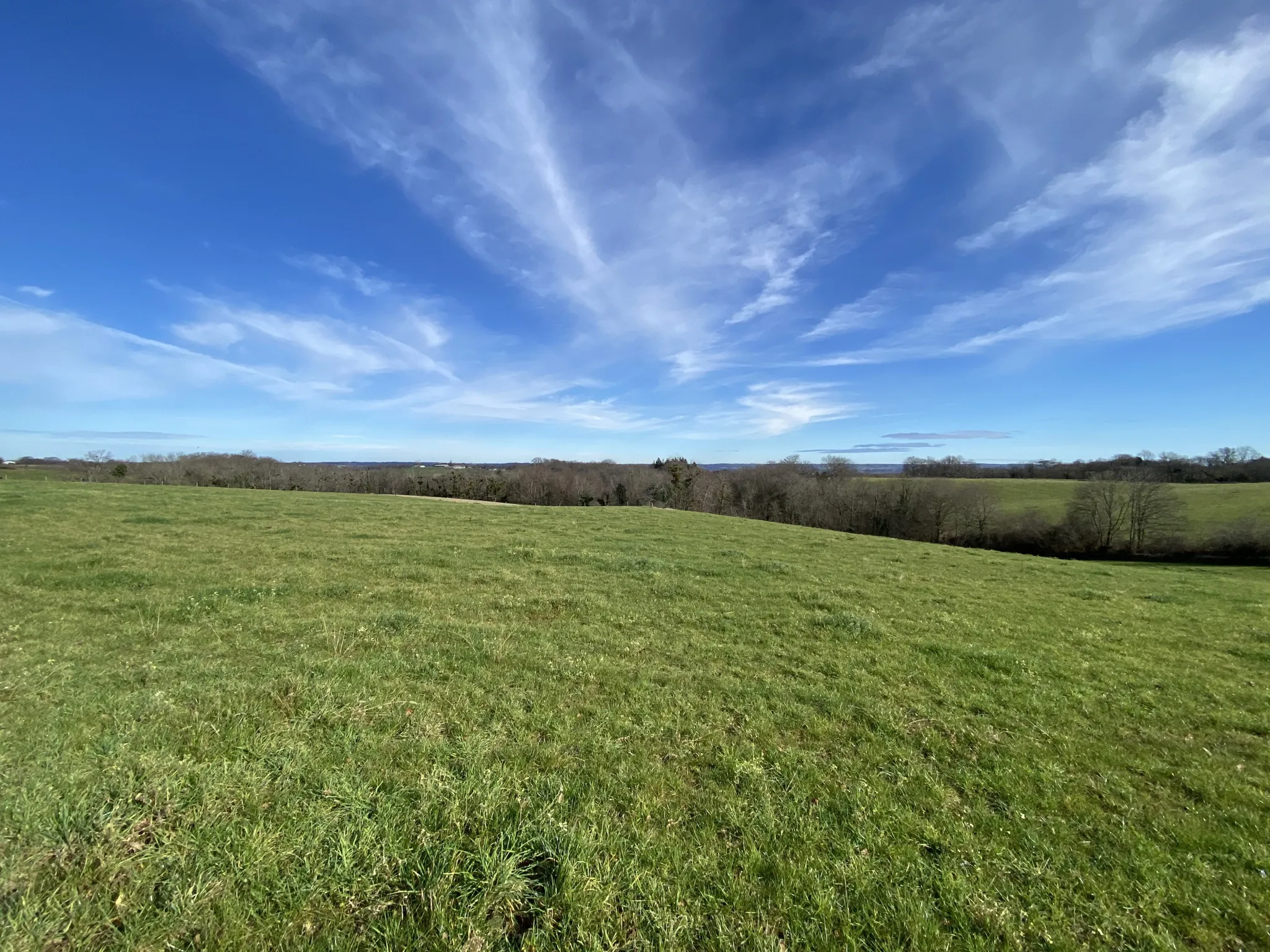 Maison Béarnaise T6 à vendre à Lagor avec vue sur les Pyrénées 