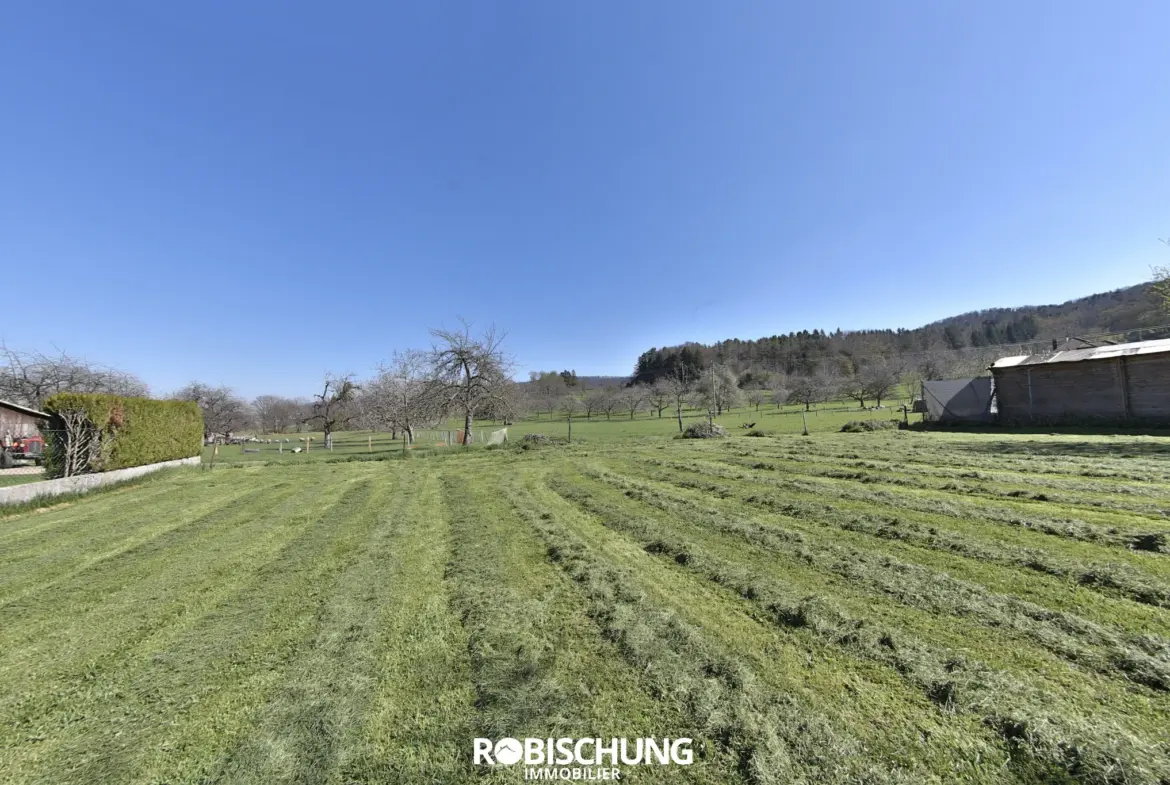 Maison à rénover à Lutter avec terrain constructible 