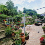 Maison de maître à vendre à Bourbonne-les-Bains