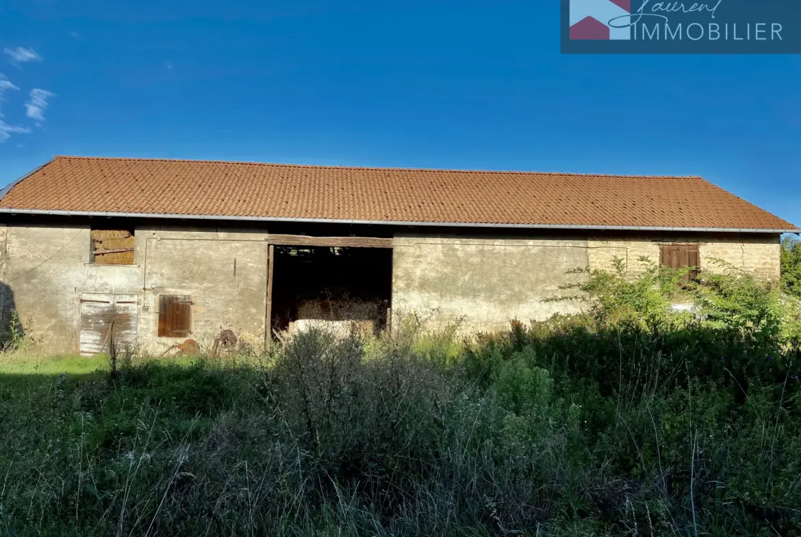 Maison à rénover à Boz avec terrain de 4281 m² et dépendances 