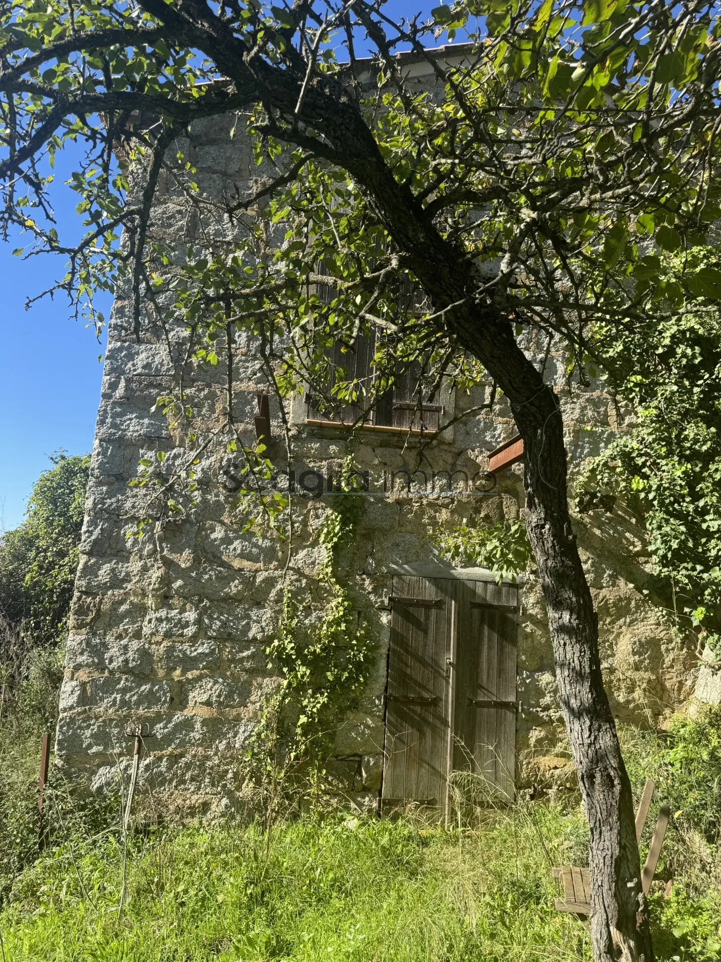 Charmante maison à rénover à Sartène - 20100 