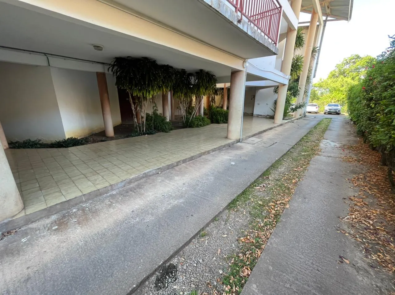 Appartement T2 avec terrasse à Cayenne, Montabo 