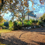 Maison de Plain-Pied avec Terrain Piscinable à Saint-Alban-Auriolles