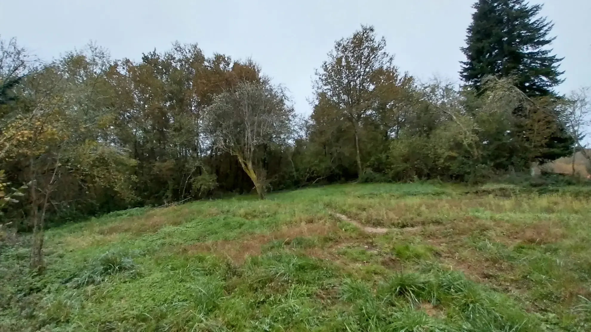 Terrain constructible de 3600m2 pour projet en bois à Brantôme 