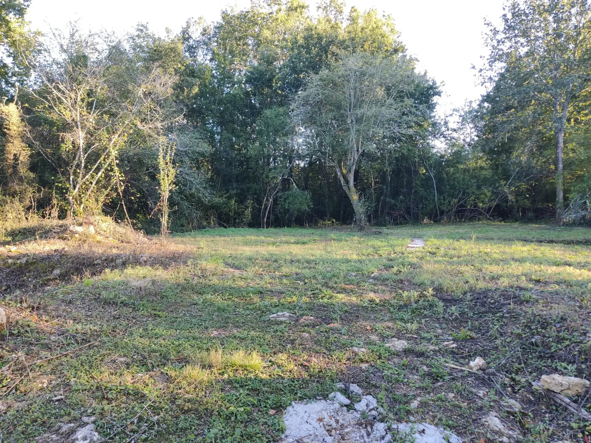 Terrain constructible de 3600m2 pour projet en bois à Brantôme 