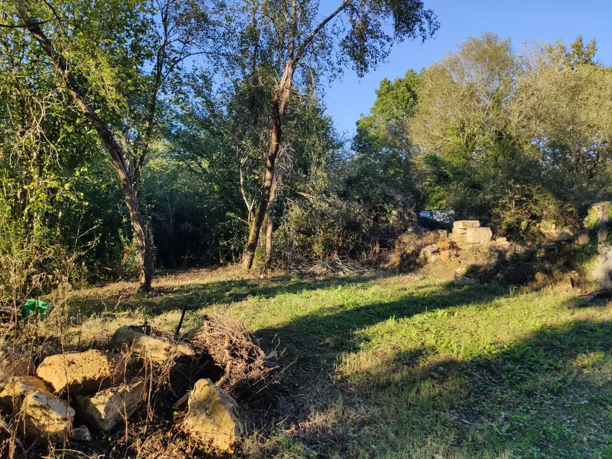 Terrain constructible de 3600m2 pour projet en bois à Brantôme 