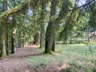 Vente villa de plain-pied à Châteauneuf la Forêt - 250 000 EUR 