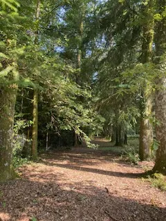 Vente villa de plain-pied à Châteauneuf la Forêt - 250 000 EUR 