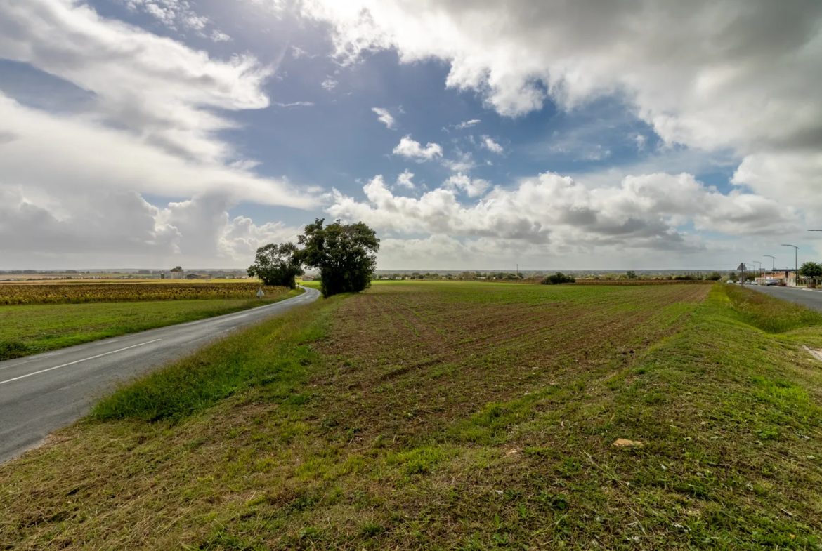 Maison spacieuse à Saint-Savinien avec jardin de 1400 m2 