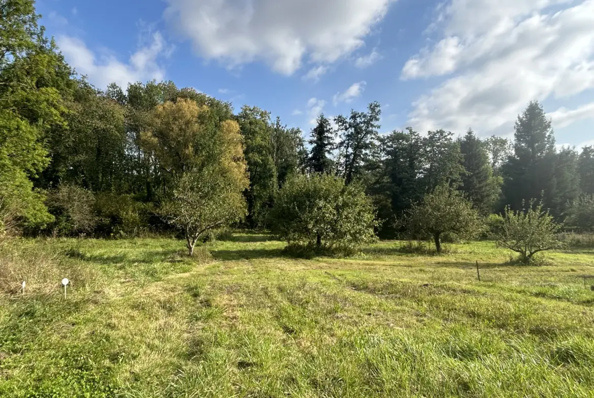 Terrain constructible de 4489 m² à Chalo St Mars 