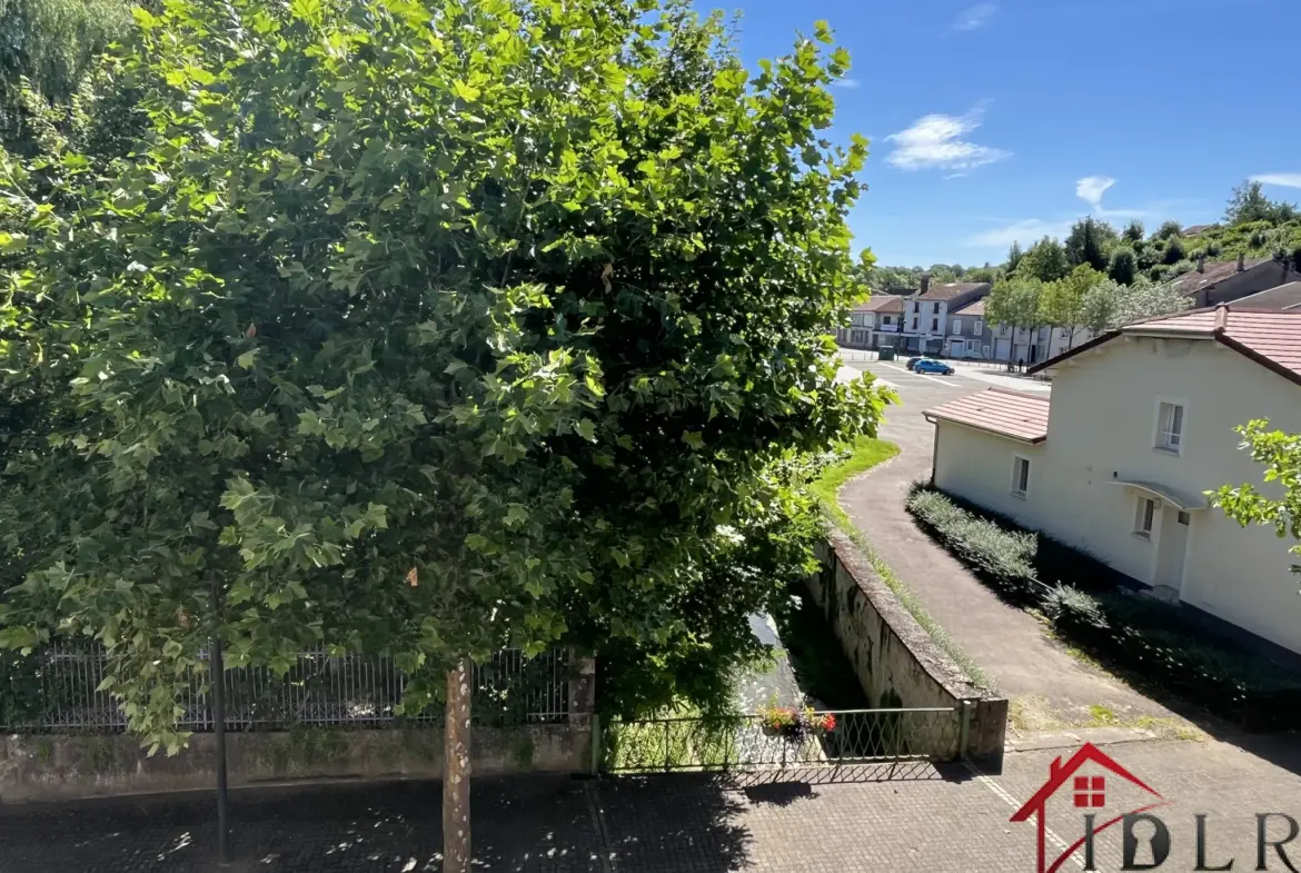 Maison d'habitation avec deux appartements à vendre à Bourbonne les Bains 