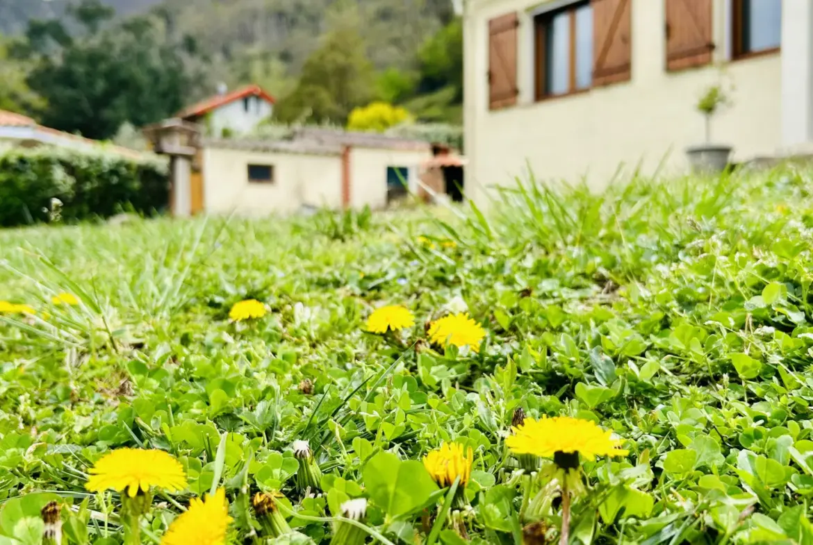 Maison de plain pied à vendre à Arles sur Tech avec jardin et garage 