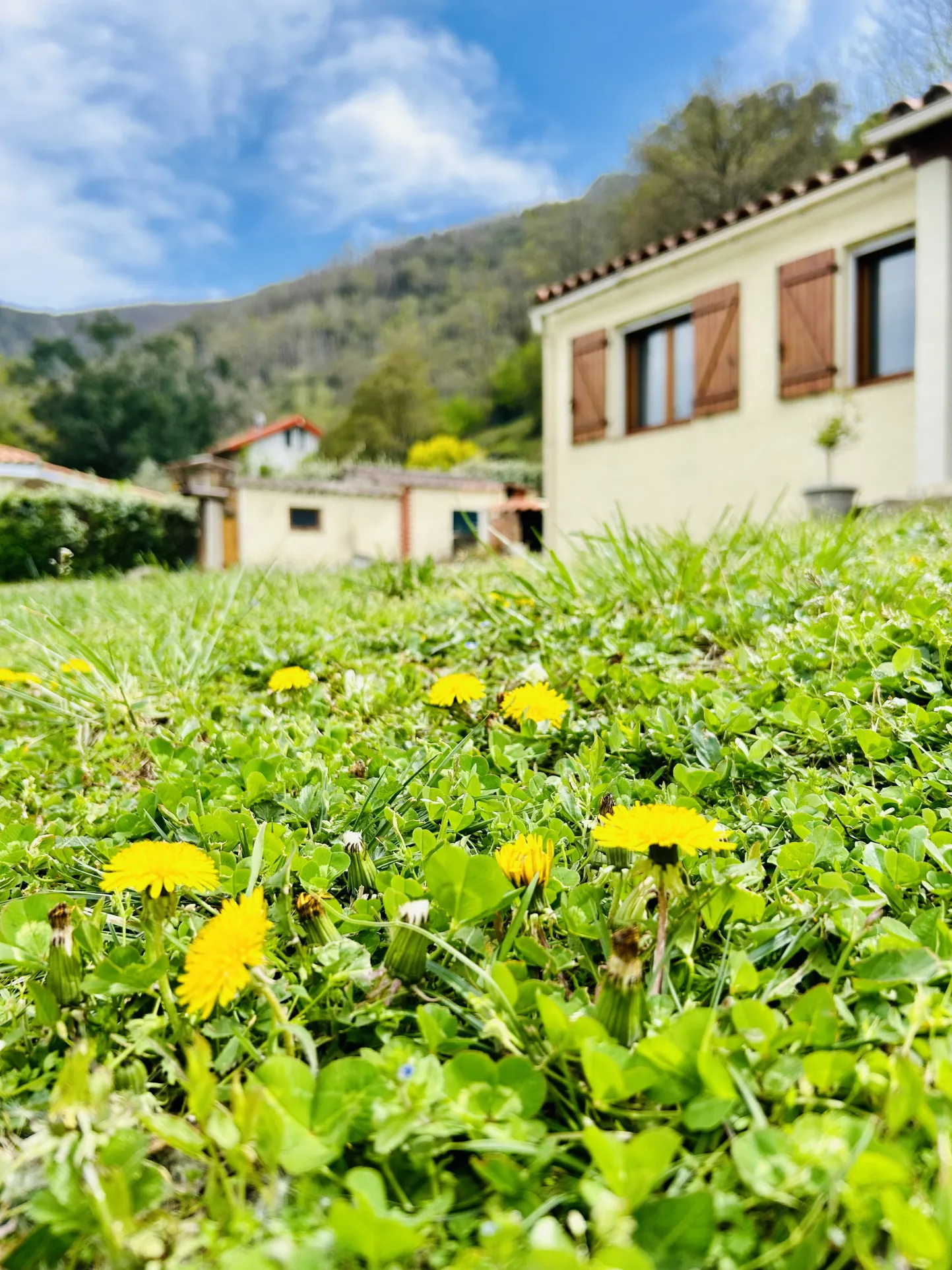 Maison de plain pied à vendre à Arles sur Tech avec jardin et garage 