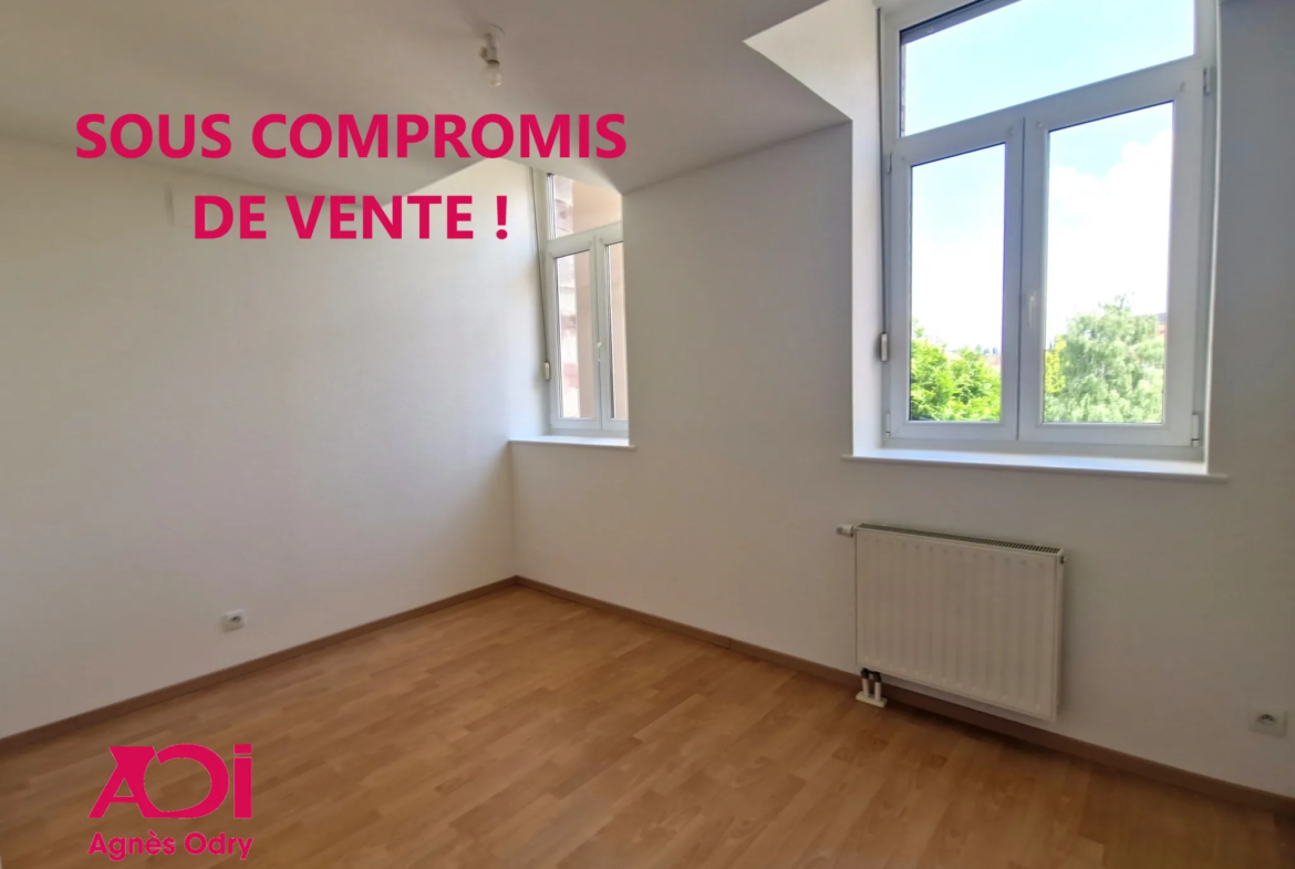 Appartement F4 avec Terrasse à Saverne à vendre 