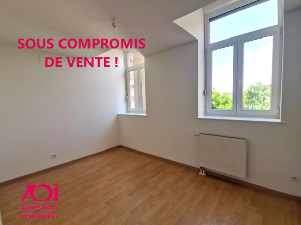 Appartement F4 avec Terrasse à Saverne à vendre